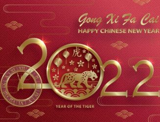 Year of the Water Tiger